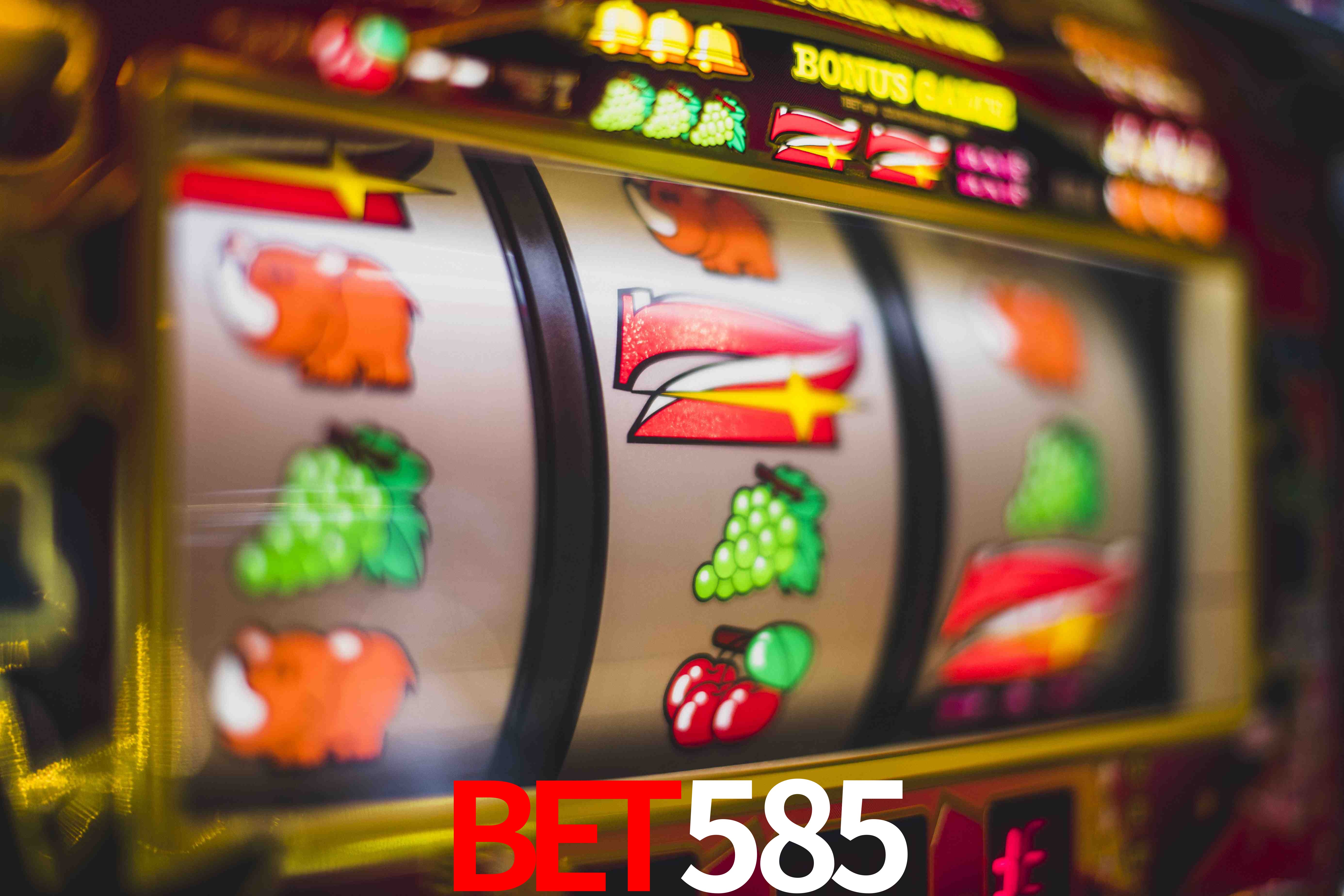 Crash Games Statistics bet585